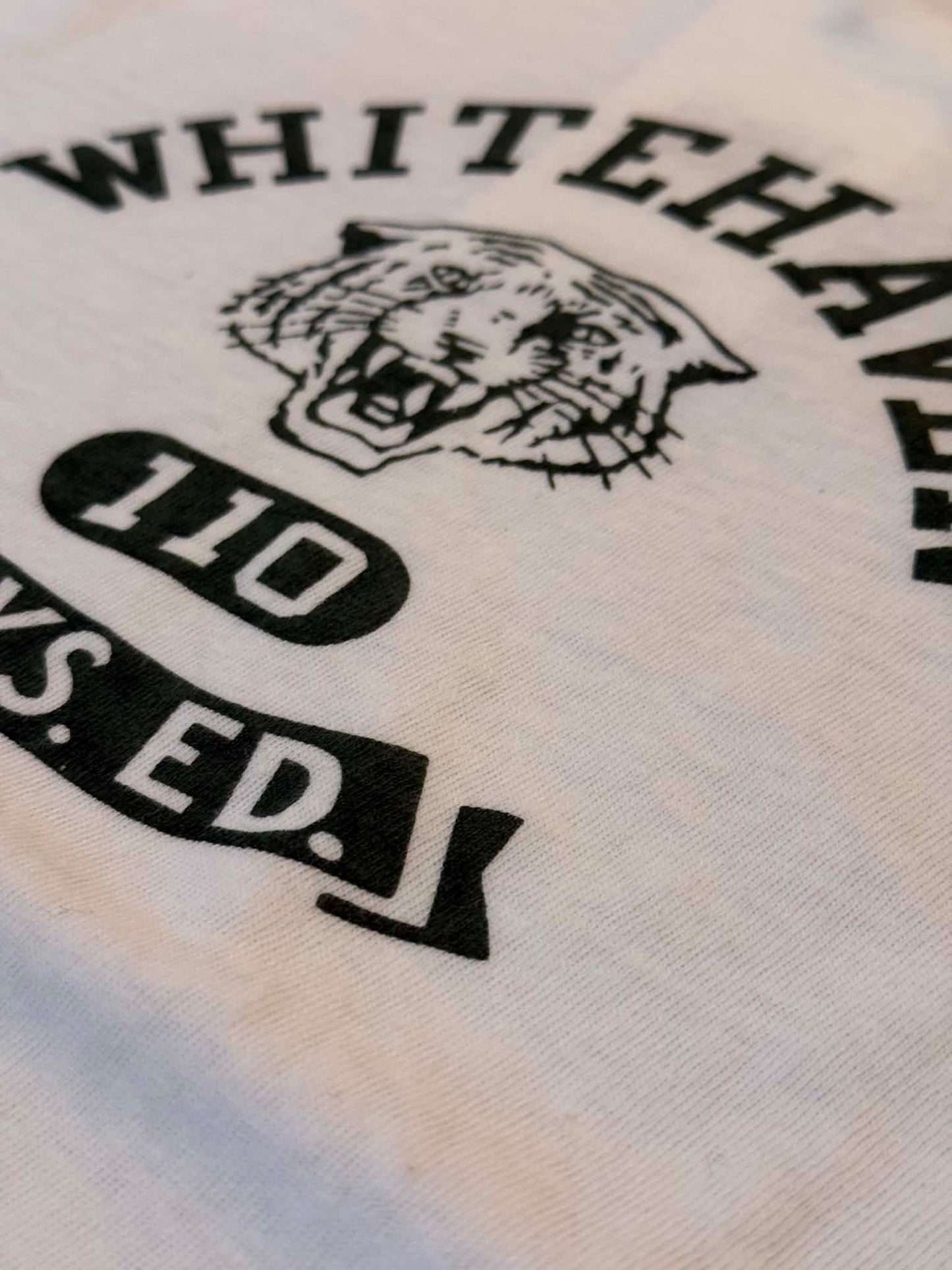 Dubble Works "Whitehaven" Ringer Tee