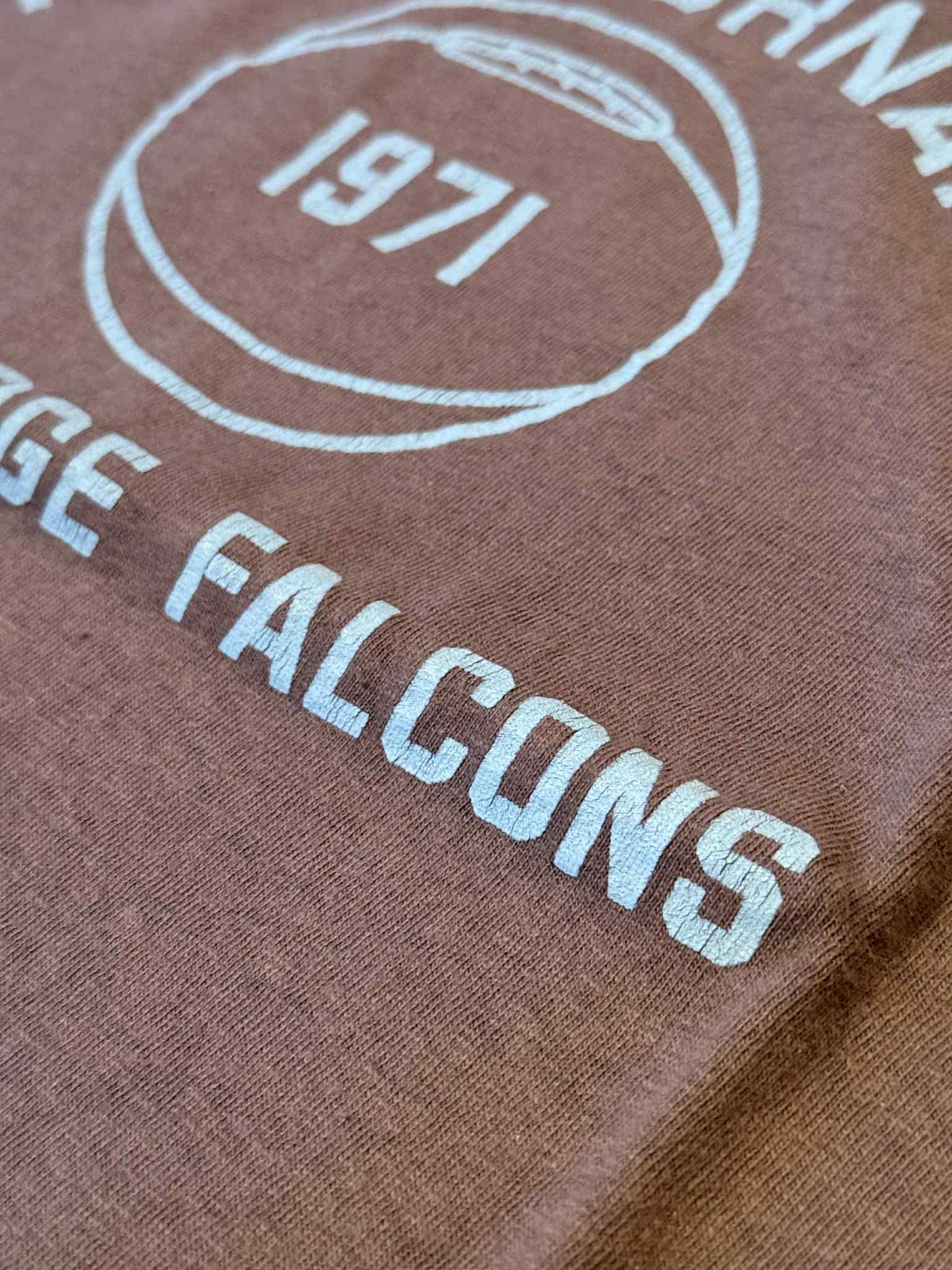 Warehouse & Co Lot 4064 "Falcons" Tee