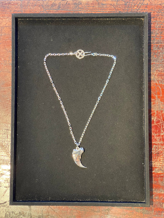 First Arrow's Bear Claw with Medicine Wheel Silver Chain Set